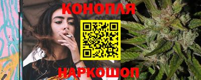мяу мяу мука Нальчик
