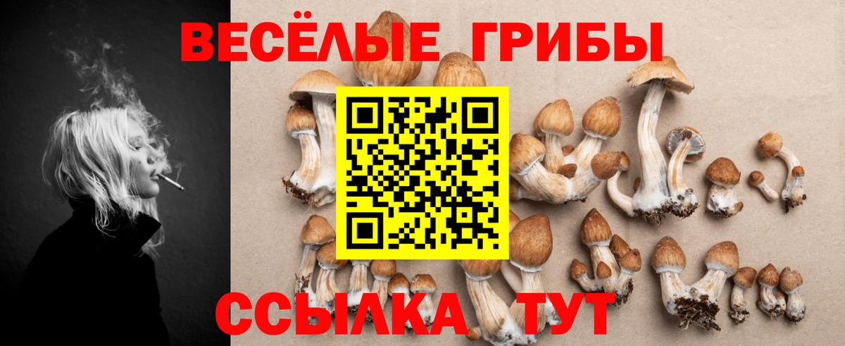 Галлюциногенные грибы Psilocybe Верхний Уфалей